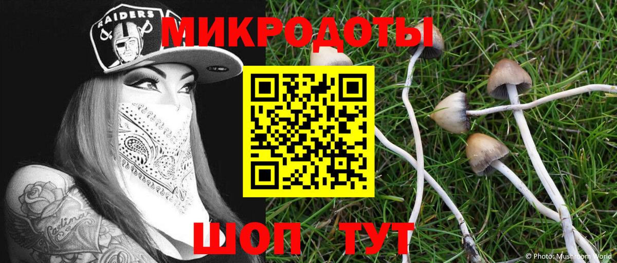 сколько стоит  Псилоцибиновые грибы прущие грибы  Вход с VPN  Лянтор 